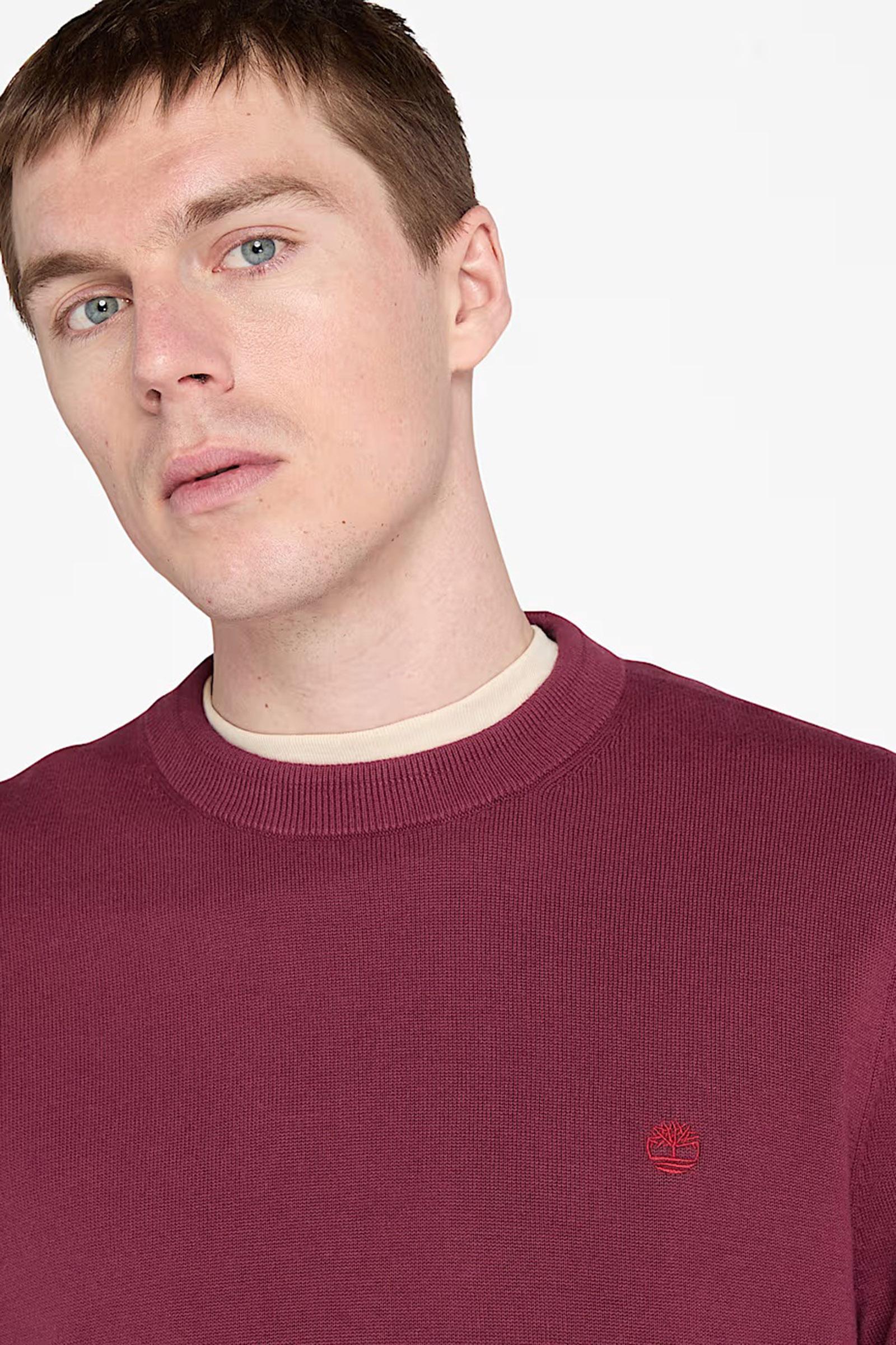 Maglione in Cotone Williams River da Uomo in bordeaux