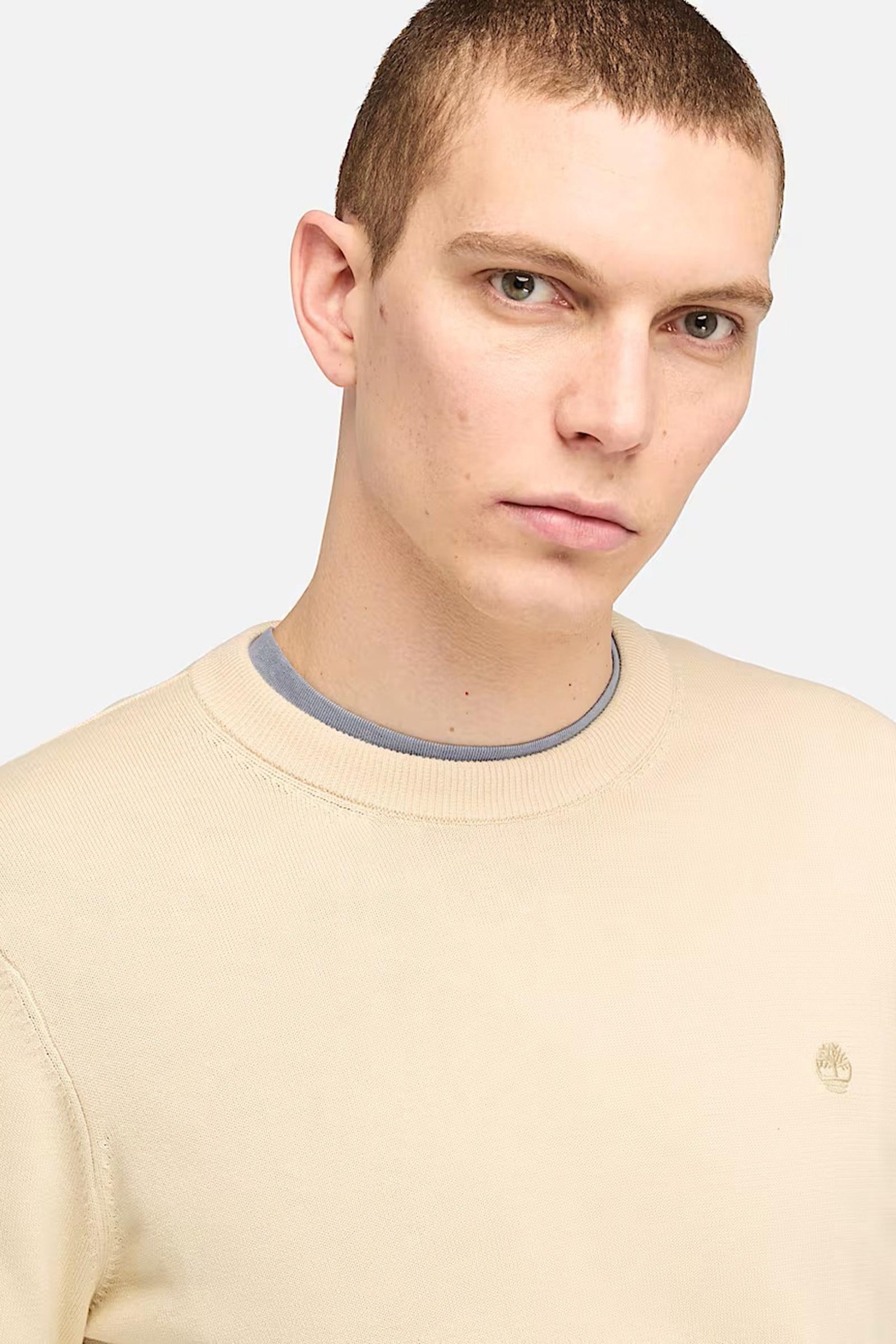 Maglione in Cotone Williams River da Uomo in beige