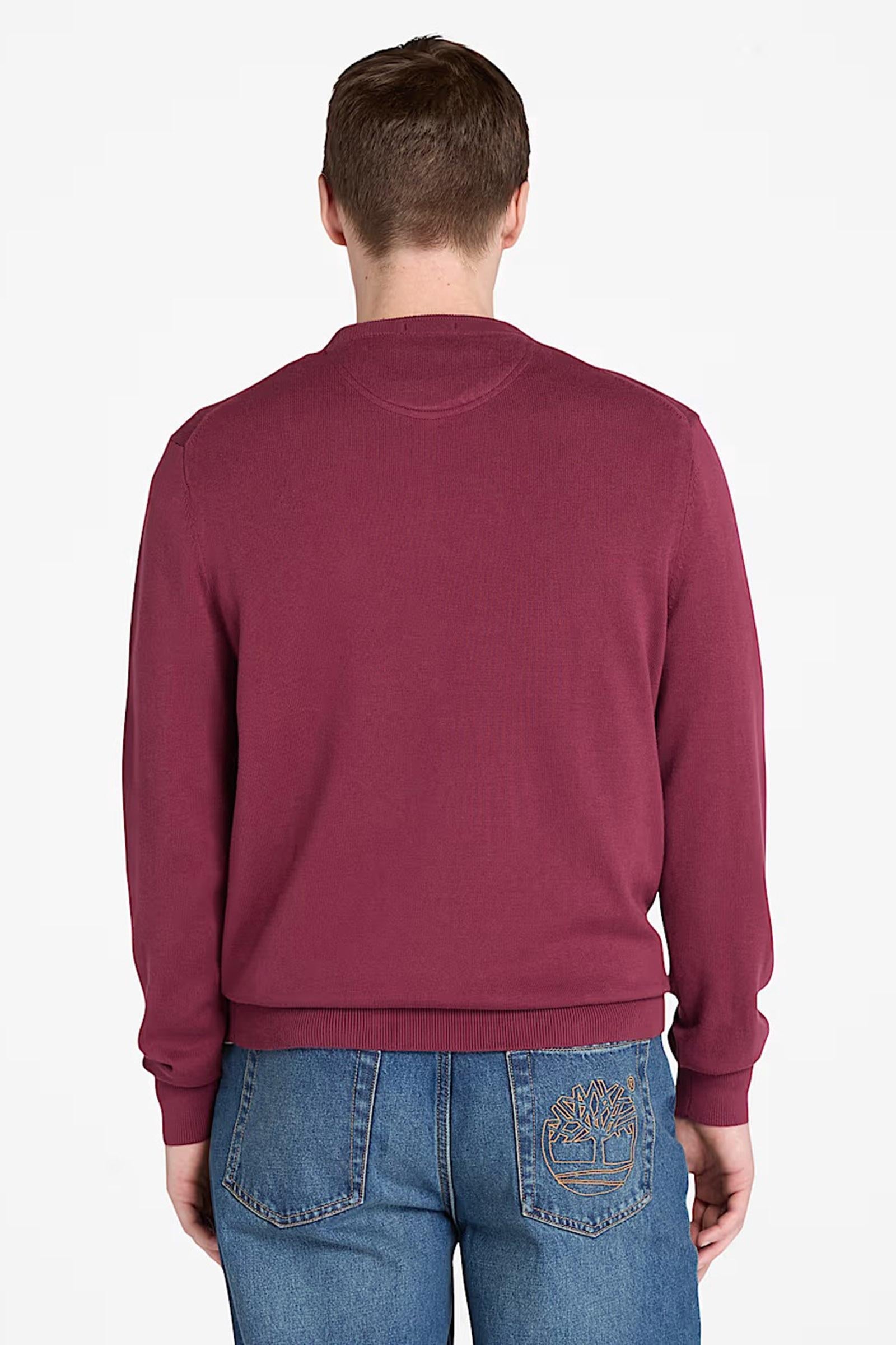 Maglione in Cotone Williams River da Uomo in bordeaux